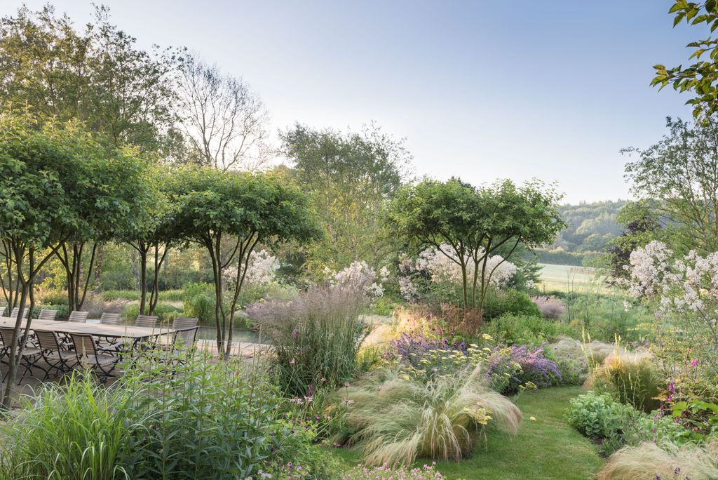 Image may contain Grass Plant Outdoors Yard Nature Garden Vegetation Tree Landscape Vase Pottery and Potted Plant