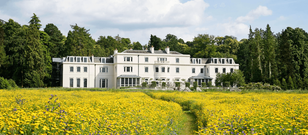 Image may contain Field Grass Plant Grassland Outdoors Nature Flower Blossom Meadow Countryside Rural and Farm