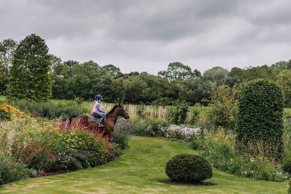 Image may contain Human Person Animal Mammal Horse Grass Plant Equestrian and Outdoors