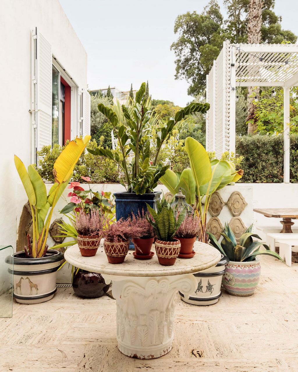 Image may contain Plant Furniture and Tabletop