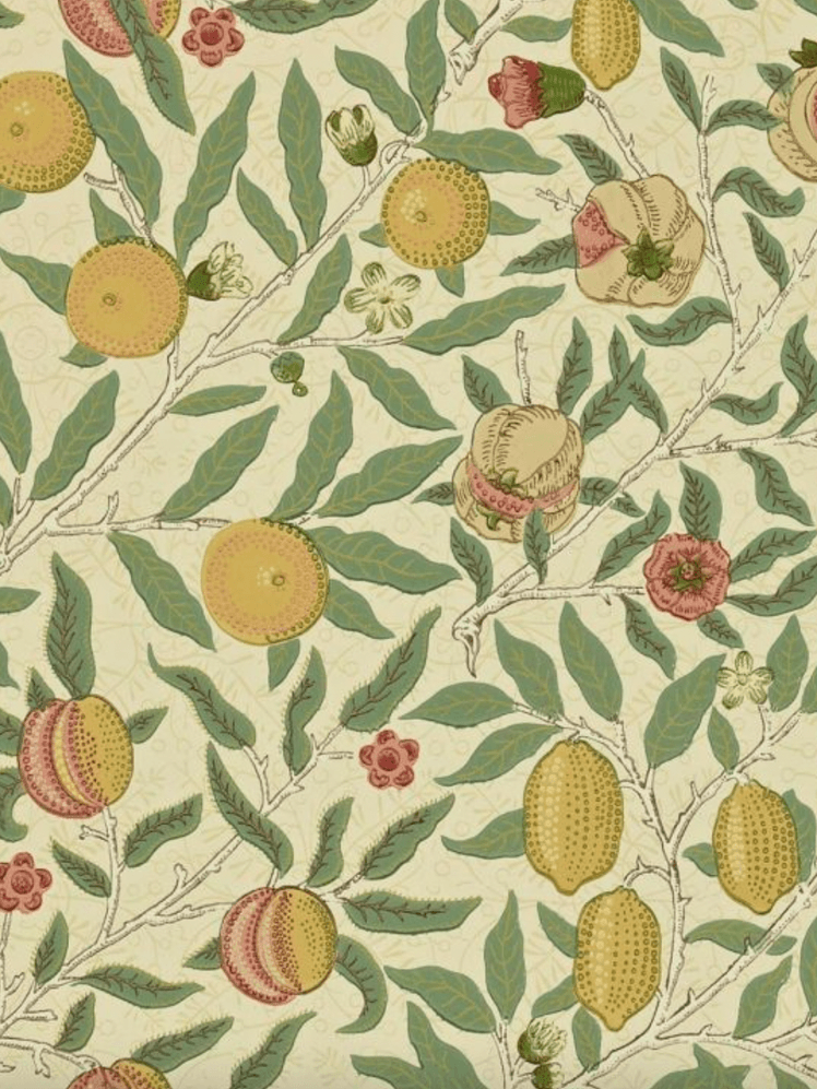 Image may contain: Rug