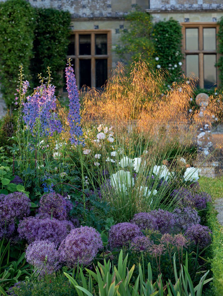 Image may contain Plant Flower and Blossom