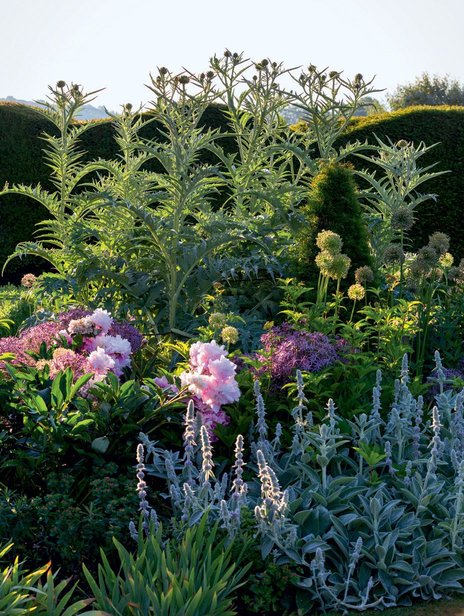 Image may contain Garden Outdoors Plant Arbour Flower and Blossom