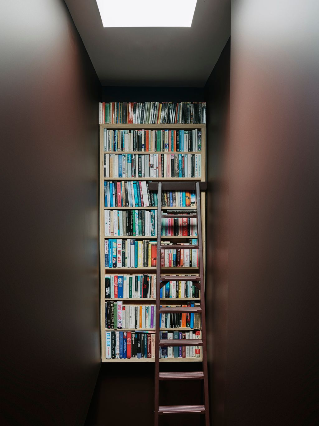 Image may contain Furniture Bookcase and Shelf