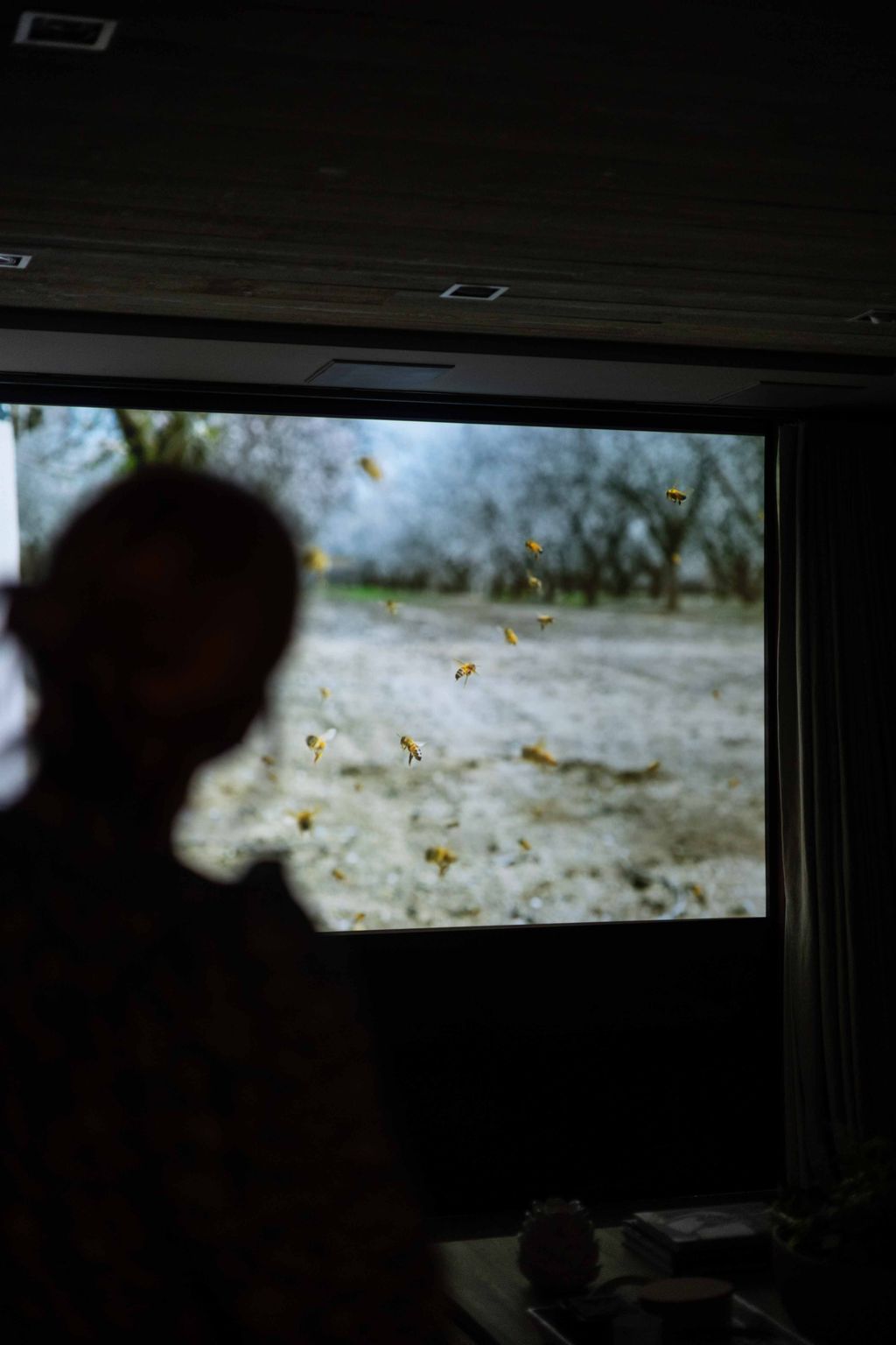 Image may contain Interior Design Indoors Home Decor Room Electronics Monitor Display Screen and Theater