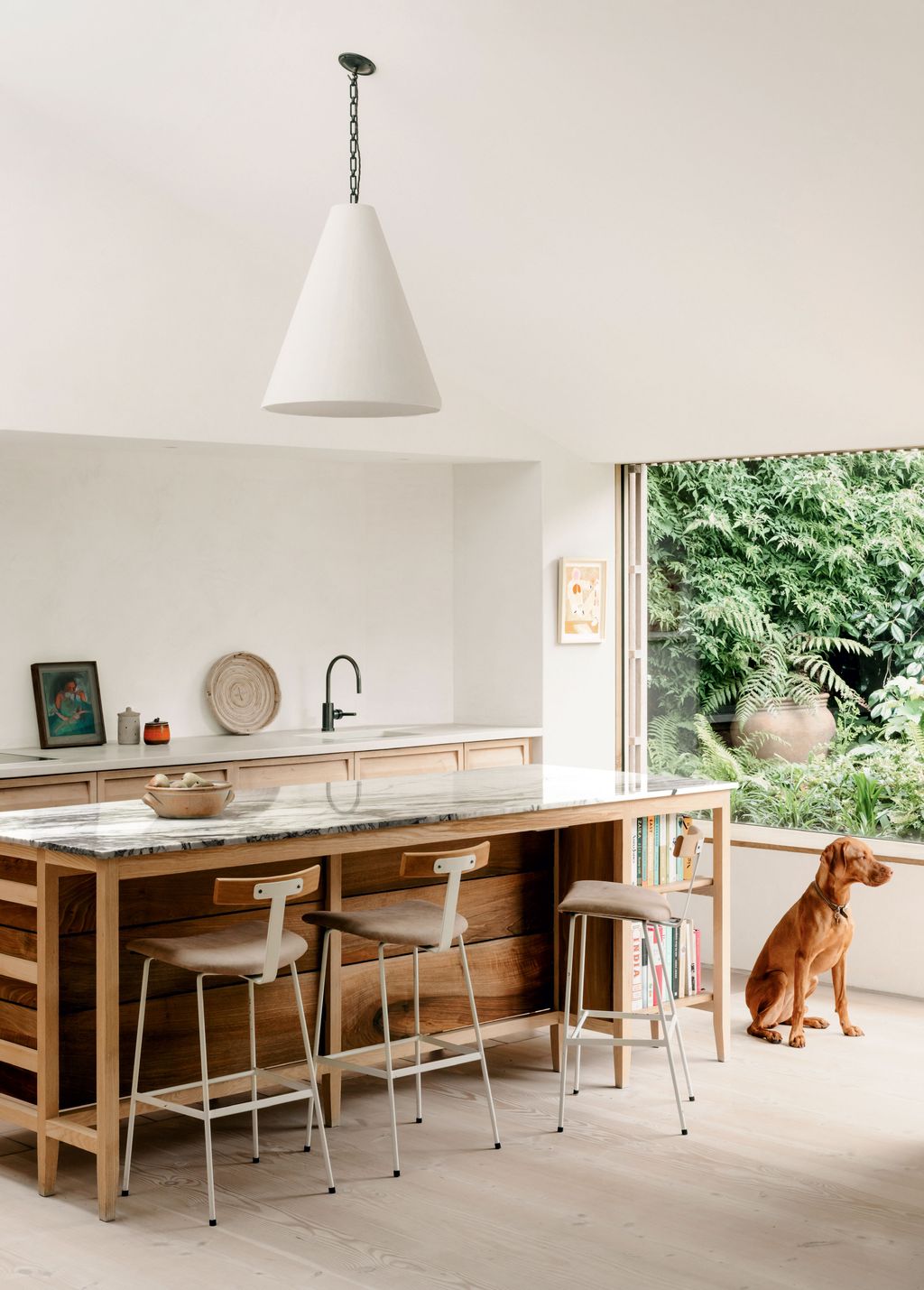 A very smart dog at Lucy Loveday and Max Kuenssberg's house.