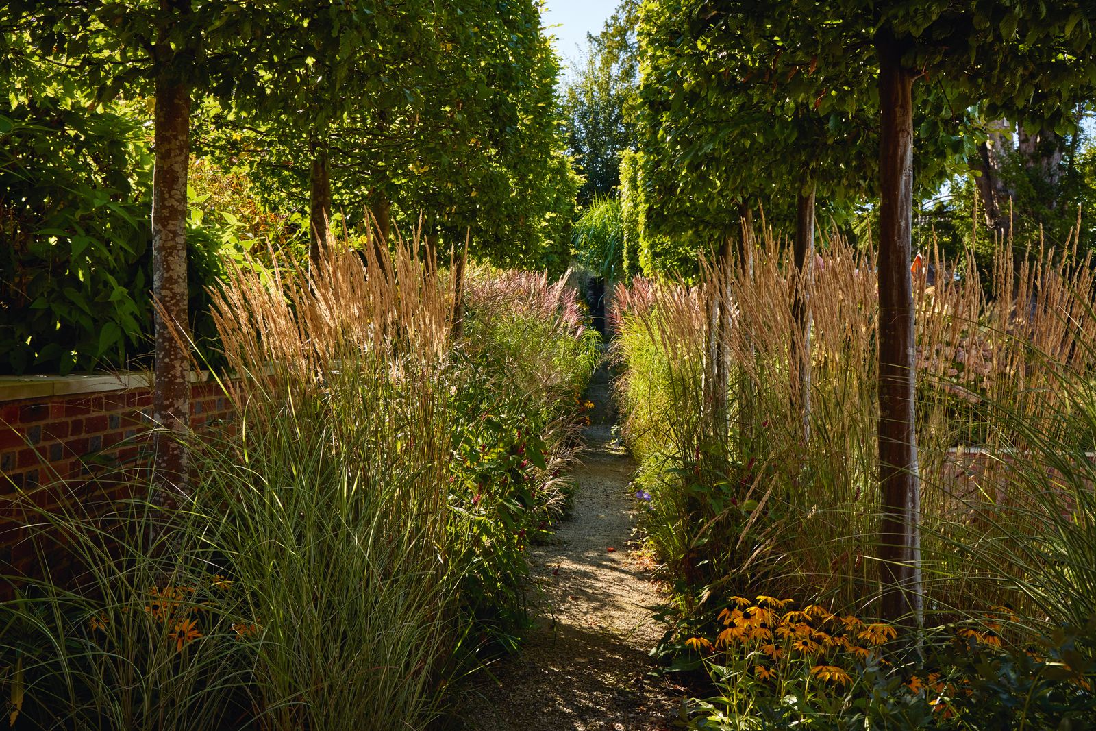 The path through the grass walk is flanked by Calamagrostis x acutiflora ‘Karl Foerster its pale inflorescences...