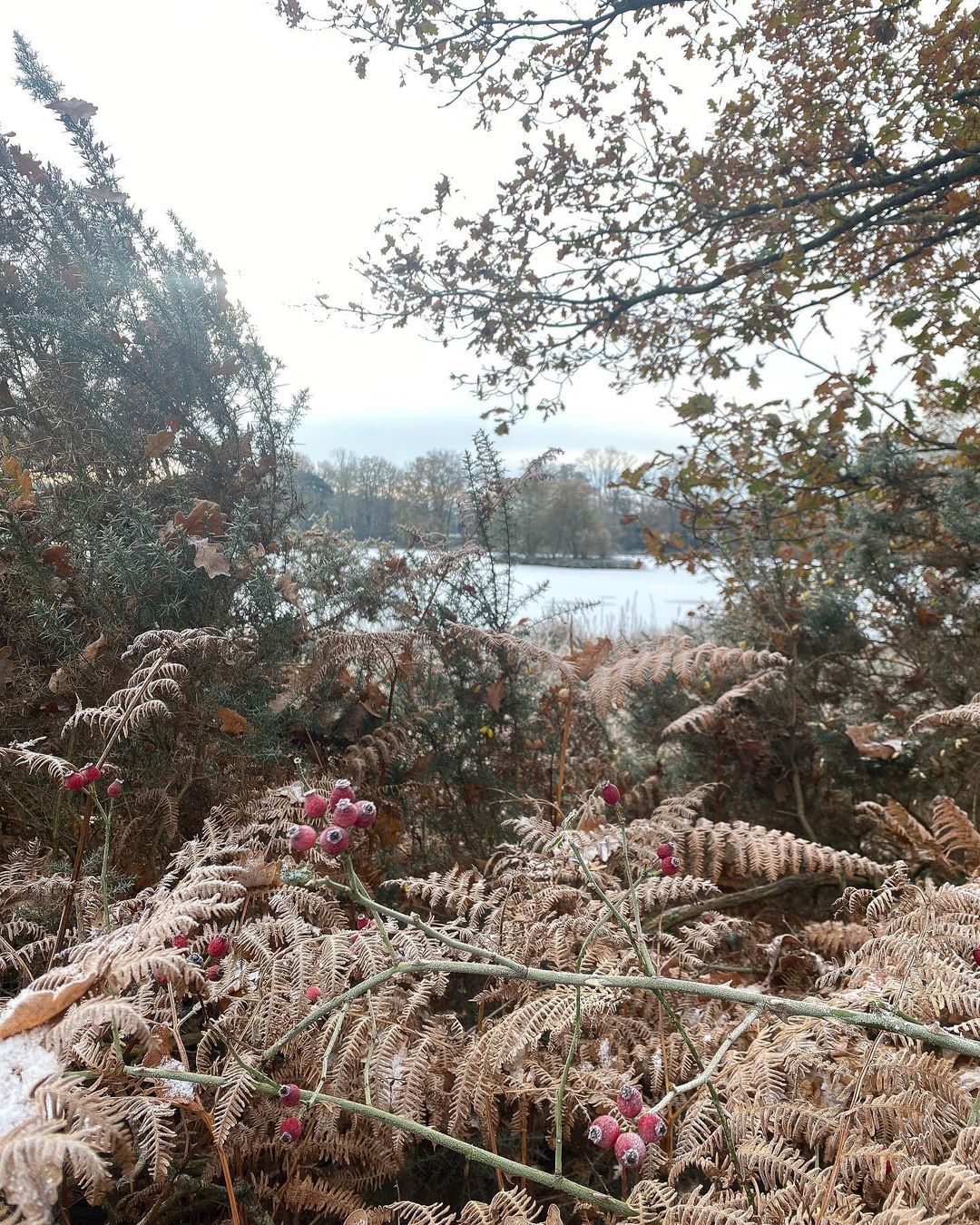 The folly's surrounding nature glazed in frost on a cold winter's day.