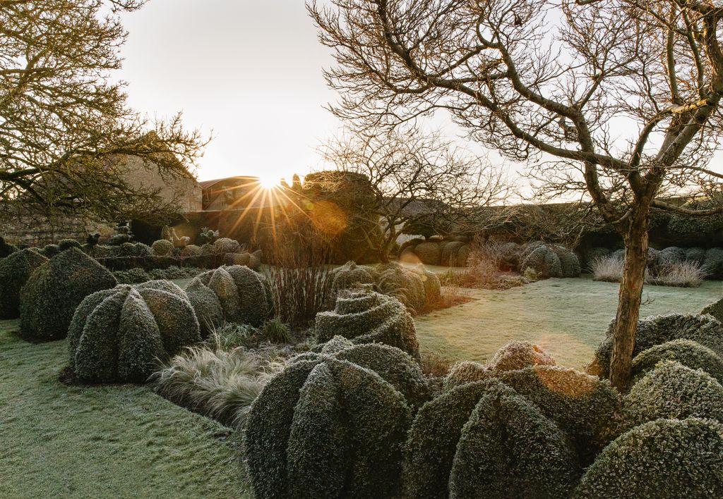 From mushrooms to cinnamon buns and mitres to Toto the dog the topiary that populates Louise and Fergus Dowdings...