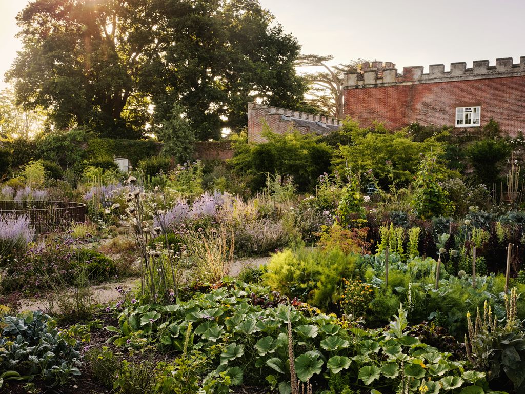 More conventional rows and blocks of edible crops can also be found in the new productive garden grown in a nodig system...
