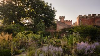 How the new walled garden at Knepp Castle is transforming the way we think about horticulture