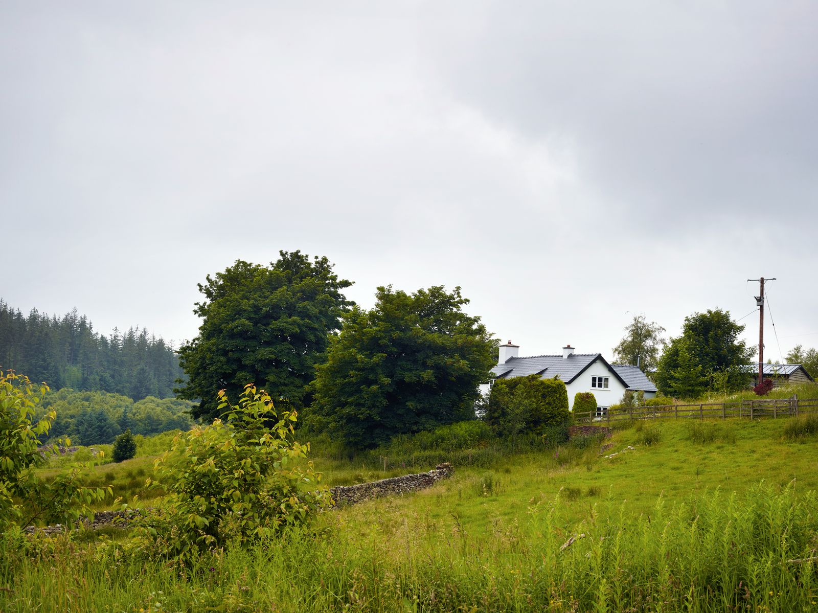 The house backs onto woodland managed by the Forestry Commission.