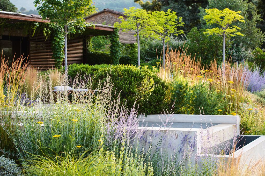 The geometric stepped dipping pool brings a contemporary feel to this part of the garden where four statuesque...