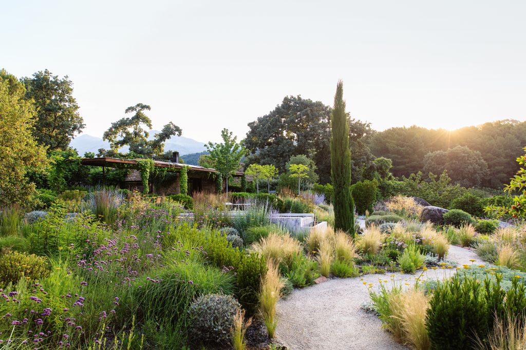 Meandering paths lead through plantings full of texture and movement. Shown in late May the garden is still lush and...