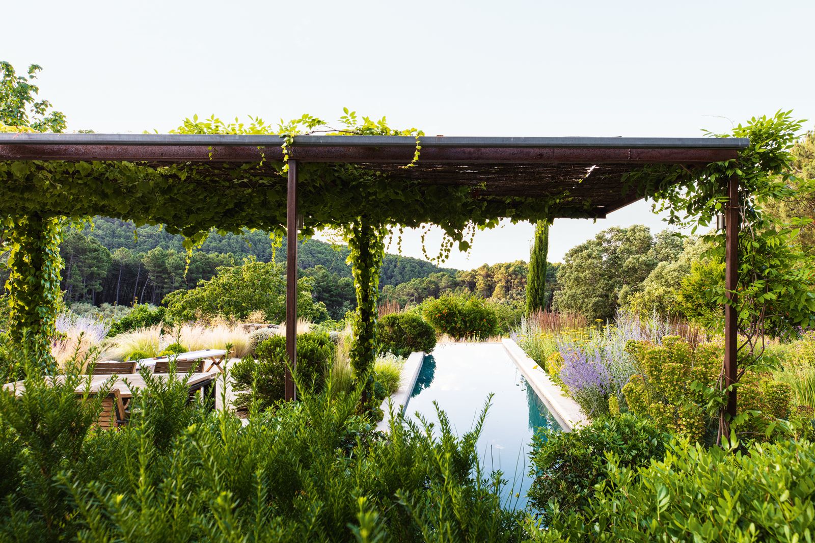 Though near the entrance the pool is screened from view by a recently planted yew hedge  and is surrounded by tall...