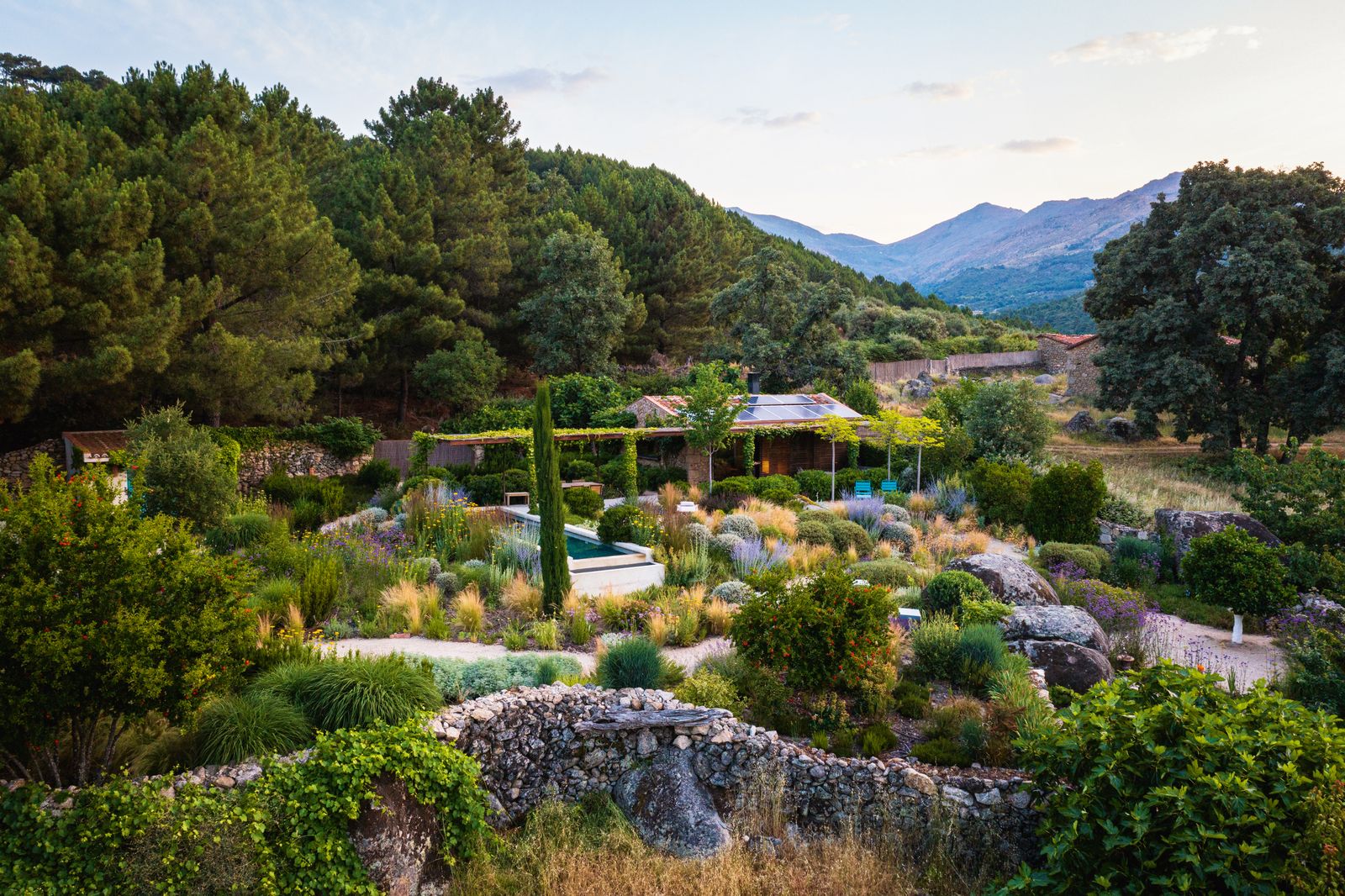 The existing undulating stone walls now provide characterful boundaries for the garden in which grasses and evergreen...