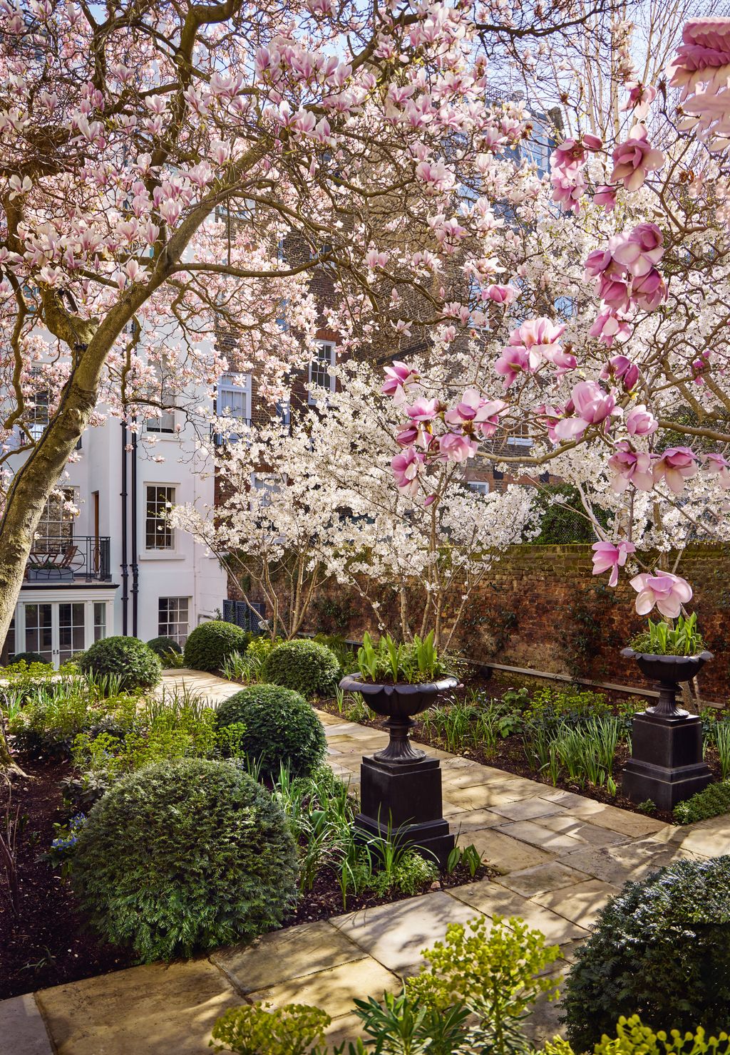 The beautiful magnolia and cherry trees in this London garden remain the centrepiece in an artful design by Sheila Jack ...