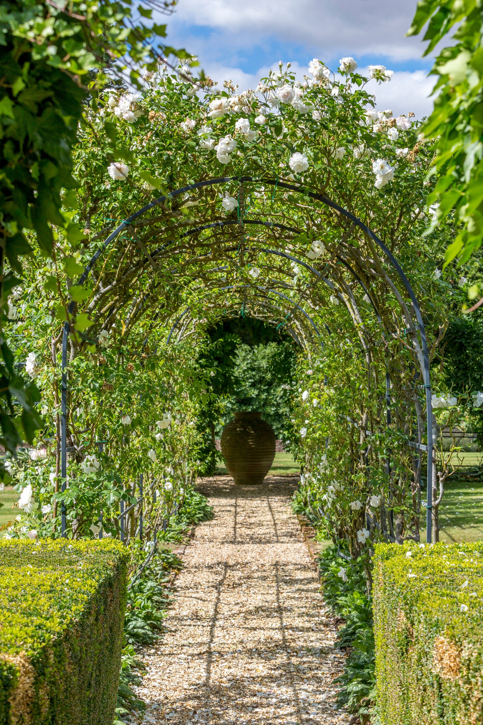 The Hampshire house where Jane Austen wrote Pride  Prejudice is up for sale