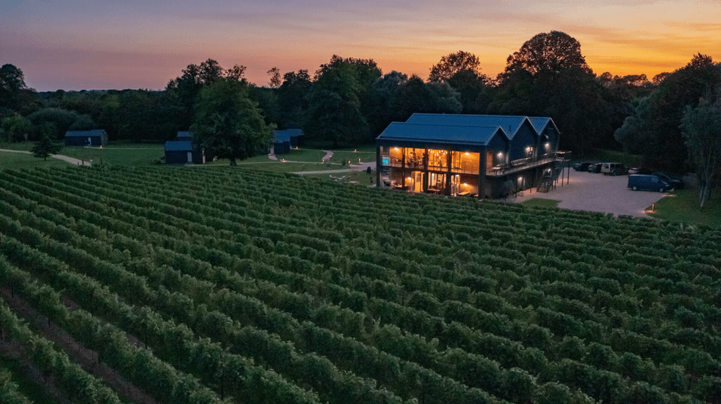 An easy 90minute train ride from London to Chichester  gets you to Ashling Park Estate a 50acre vineyard in the South...