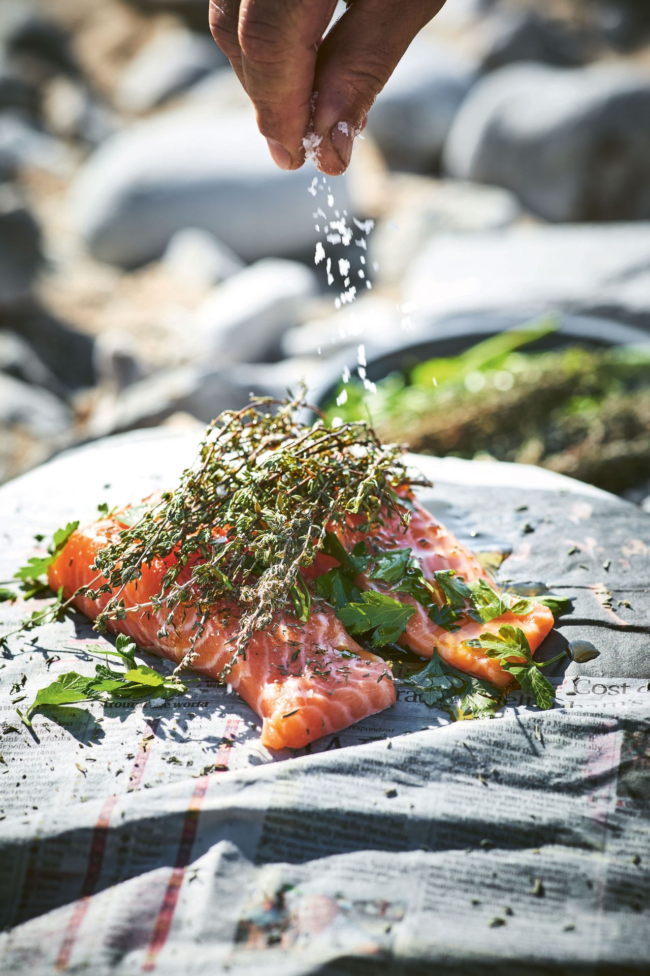 Trout in newspaper