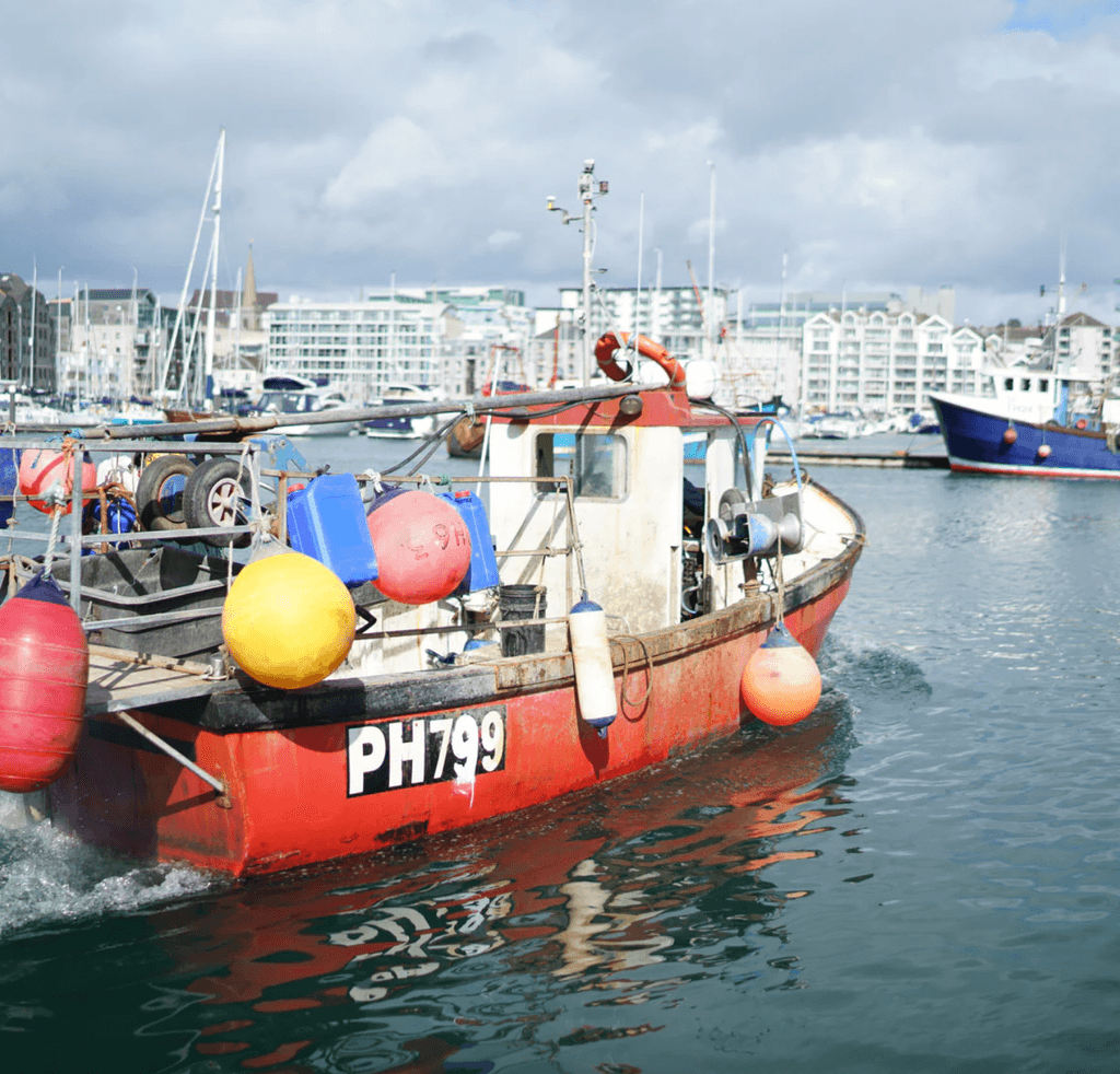 Price Individual pieces from 3.85 boxes from 55  Delivery areas UKwide  Type Fish box  Subscription available No  UVP...