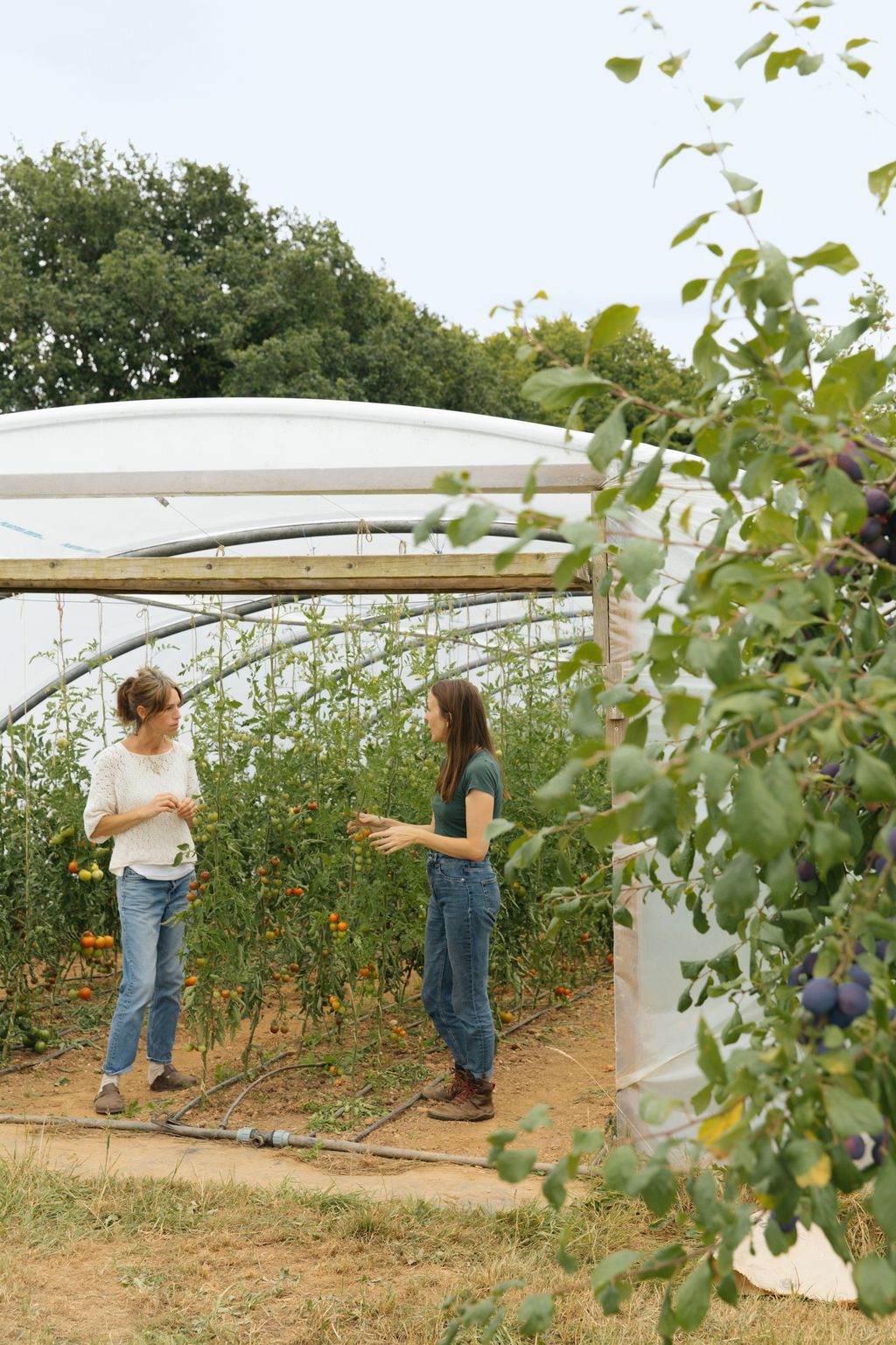Clare with Rachel Phillips at the Apricot Centre which provides much of their fruit and vegetables