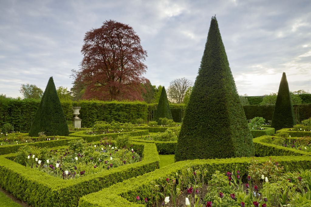 In the south gardens topiary yew pyramids punctuate 16 boxedged rose beds filled in spring with a monochrome planting of...
