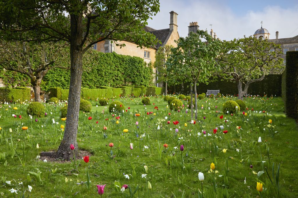 These include snakes head fritillaries Narcissus ‘Thalia and N. ‘Hawera and Anemone blanda ‘Blue Shades.