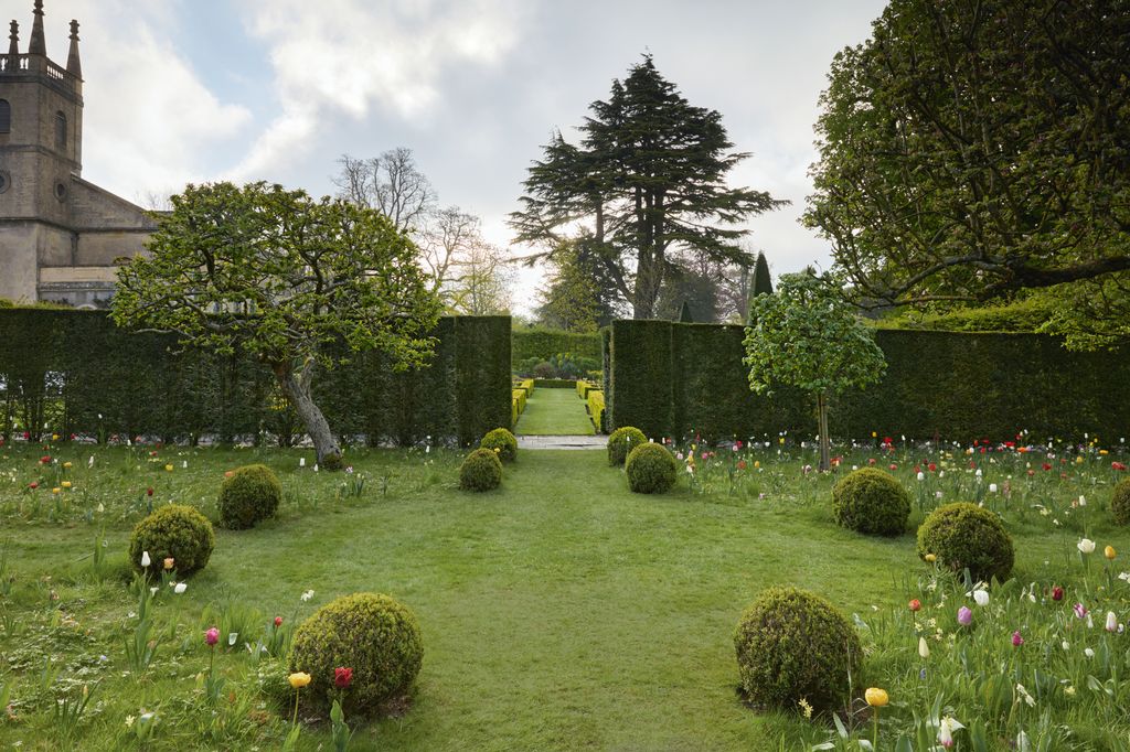 Among these are deeppurple ‘Recreado and species varieties such as mauvepink Tulipa saxatilis as well as other spring bulbs.