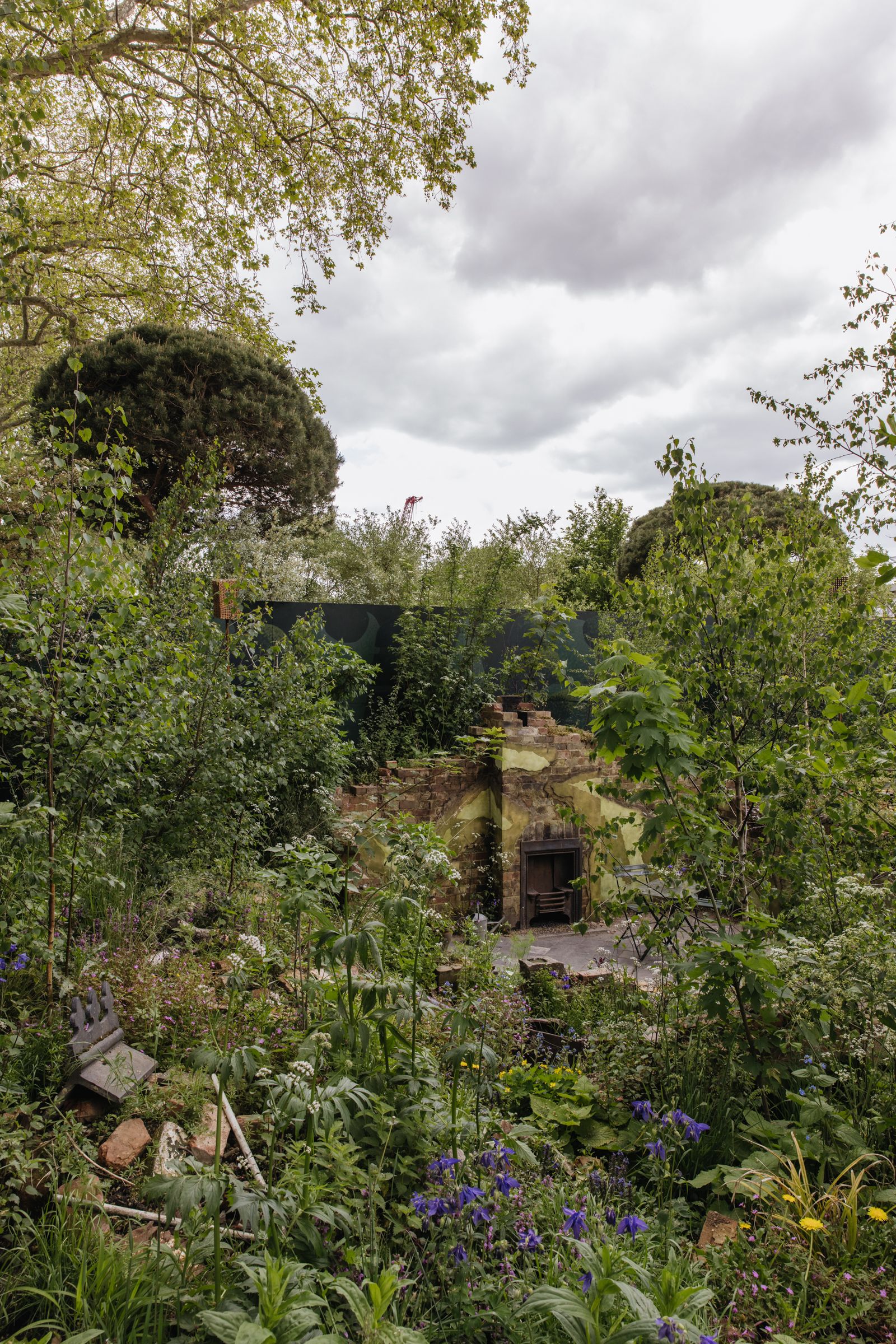 Chaos gardening is all the rage. Cleve West's Centrepoint Garden which won a gold medal at Chelsea Flower Show