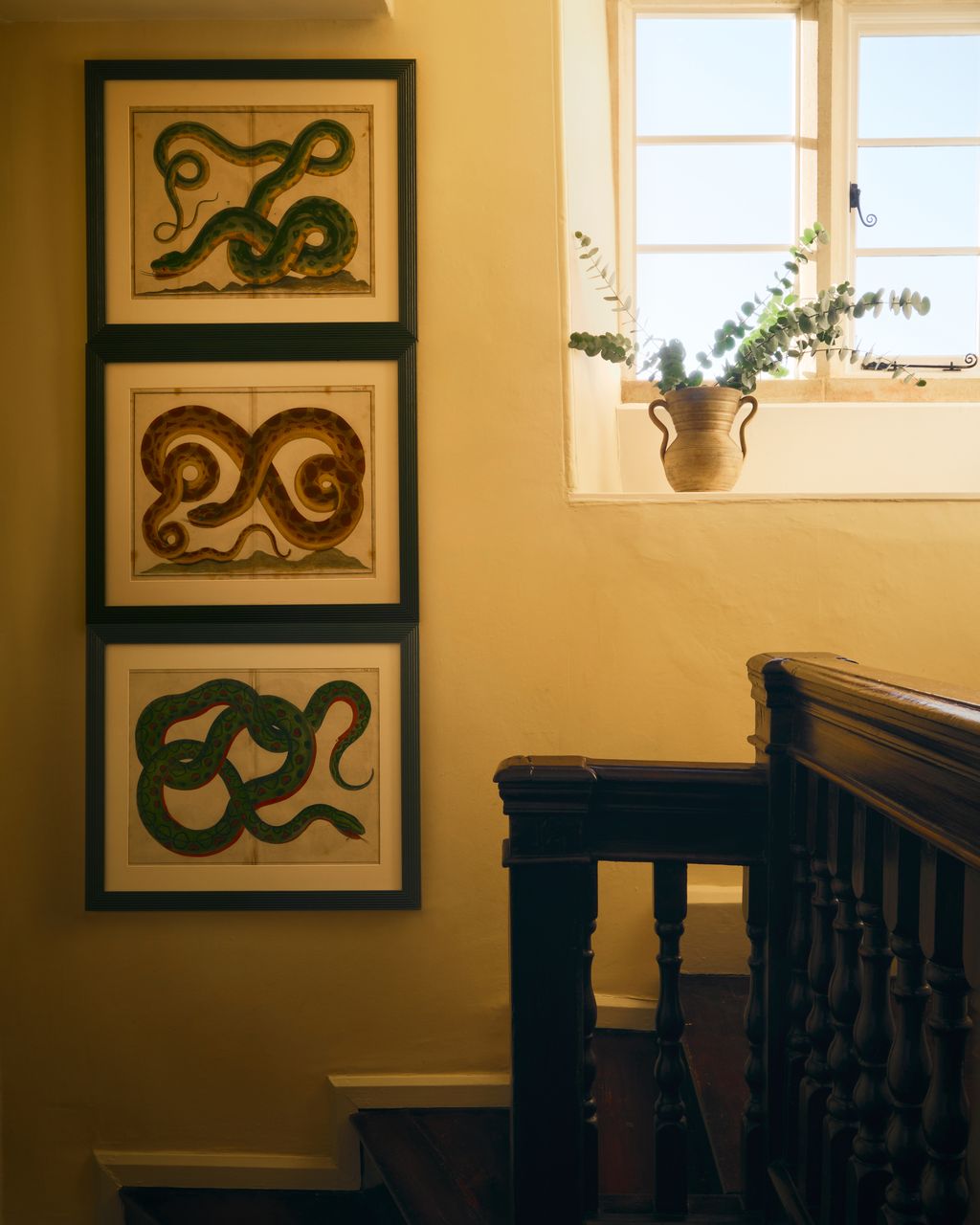 The grand staircase was one of the main features of the house decorated here with a set of 18th Century Albertus Seba...