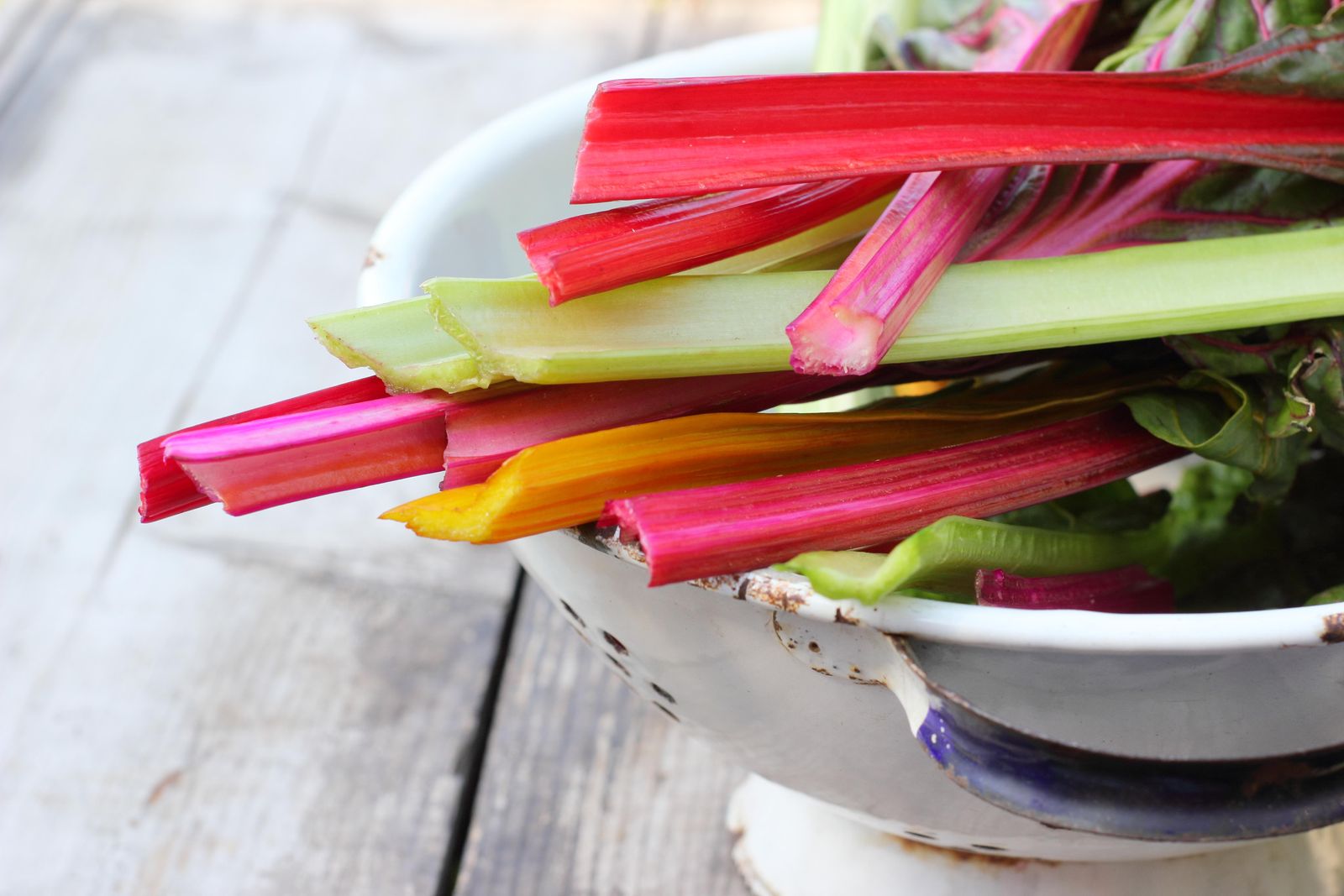 Freshly harvested stems of Swiss chard ‘Bright Lights   also called Rainbow chard.