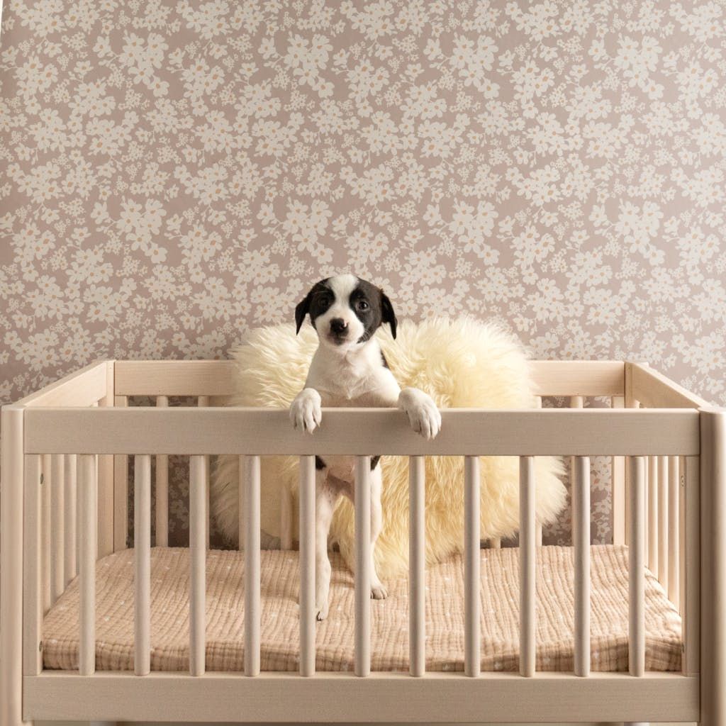 The Poppy design is a collaboration between Jacqueline Schmidt and Chasing Paper which makes selfadhesive wallcoverings...