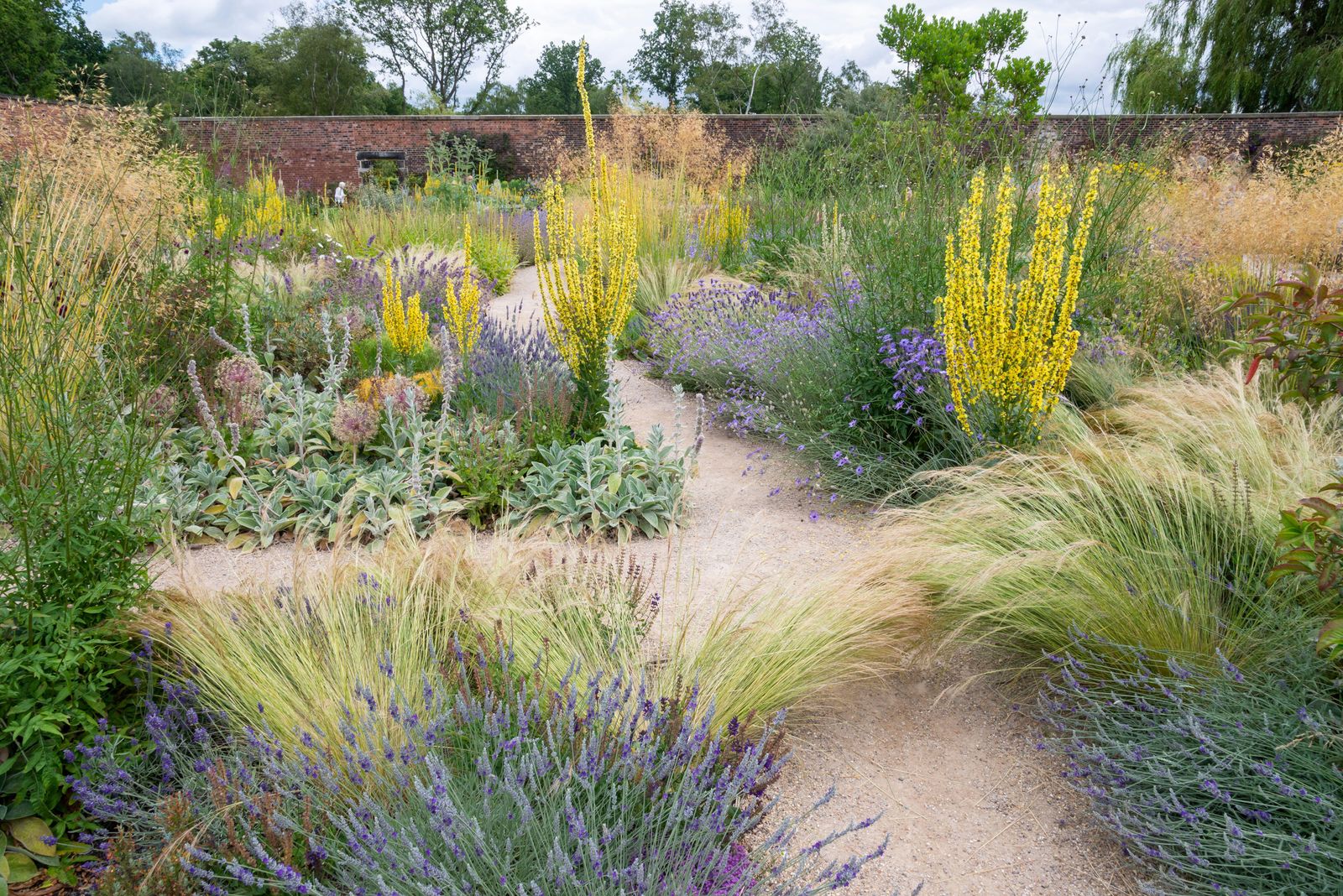 A gravel garden at RHS Bridgewater Worsley in summer