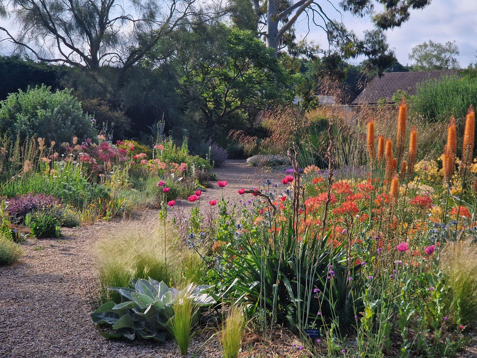 Beth Chatto's gravel garden in summer