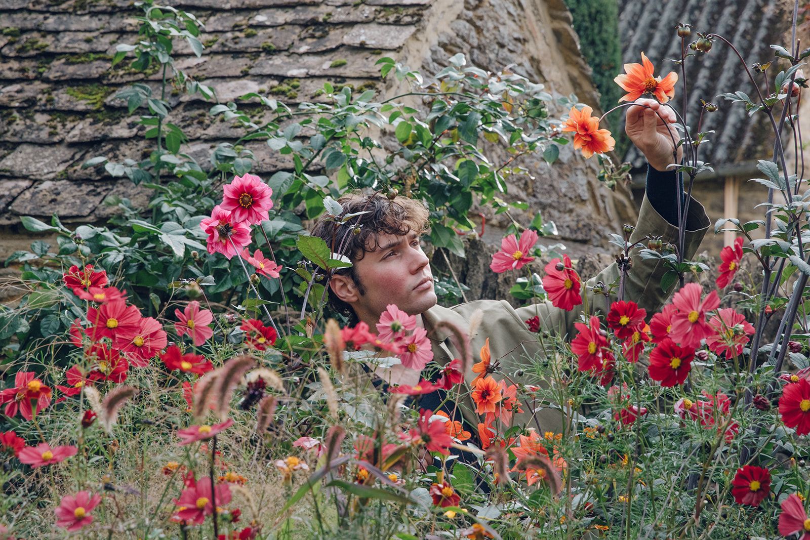 Arthur amidst the dahlias