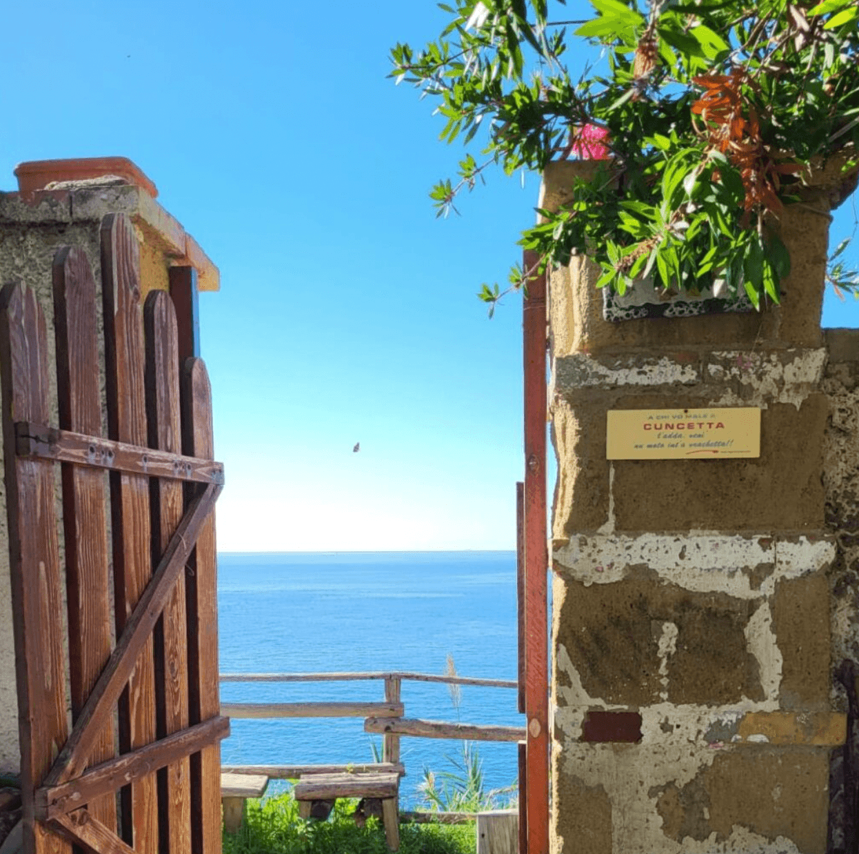 Procida Italy Things to do in the lesserknown island paradise