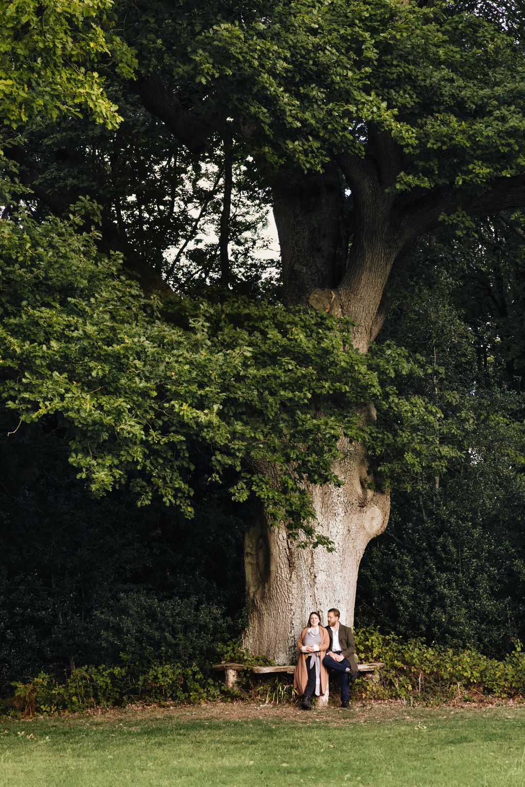 Milli Ted and Rex under one of the old oaks.