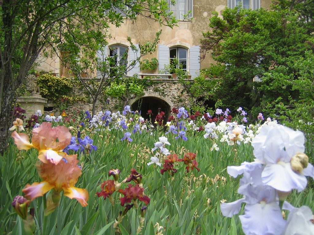 There are layers upon layers of magic at La Gonette” says Hannah Kime the daughter of Robert and Helen Kime. It is...