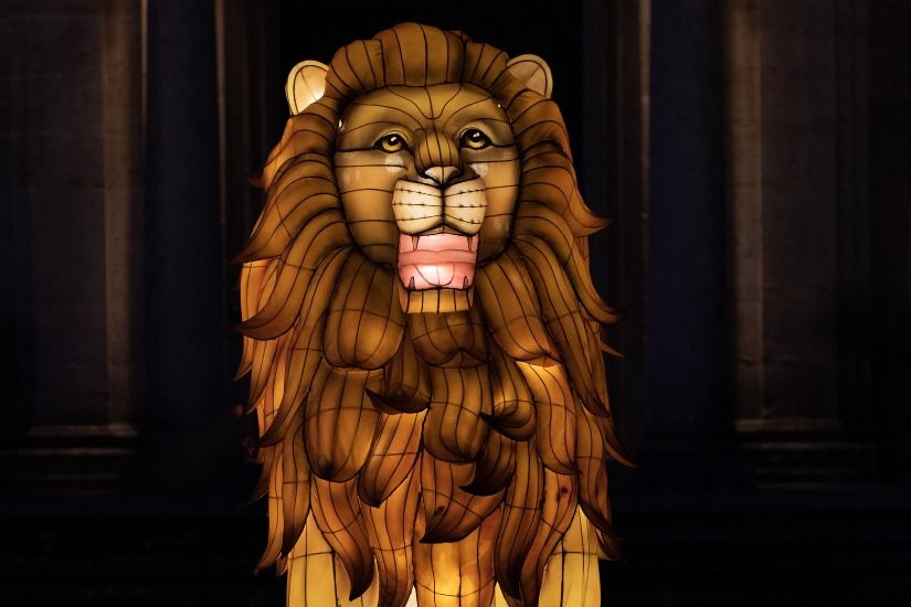 Festive Christmas light trails to enjoy in 2023