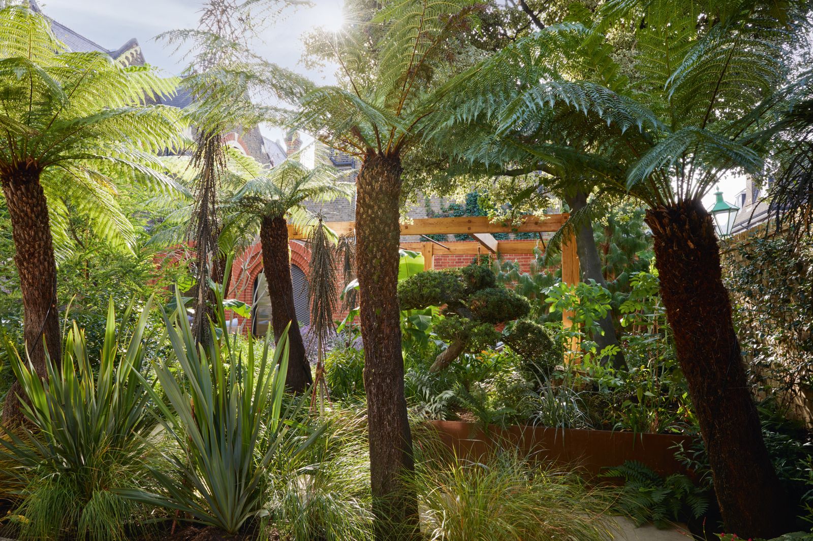 The surrounding buildings are almost entirely hidden by the leaf canopies of tree ferns that frame the arched entrance...