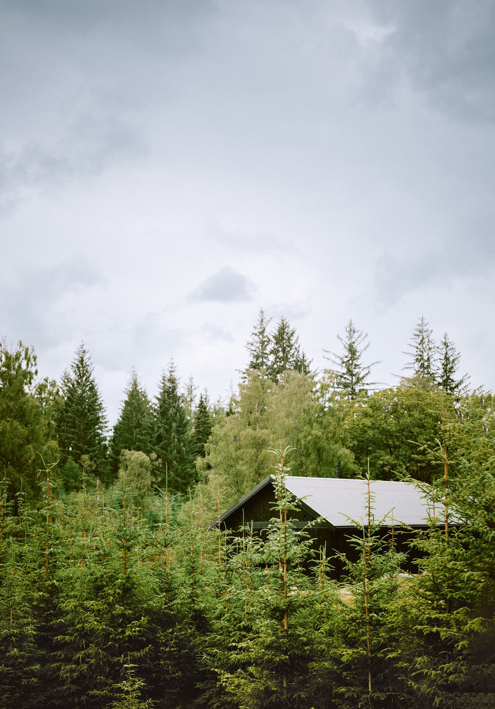With its darkstained wooden exterior and tin roof blending with the surrounding evergreens Hazel cabin offers a...