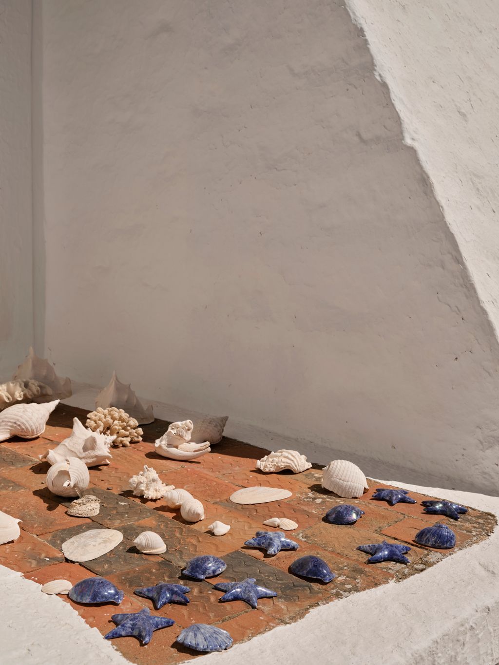 A collection of shells displayed on a buttress window sill.