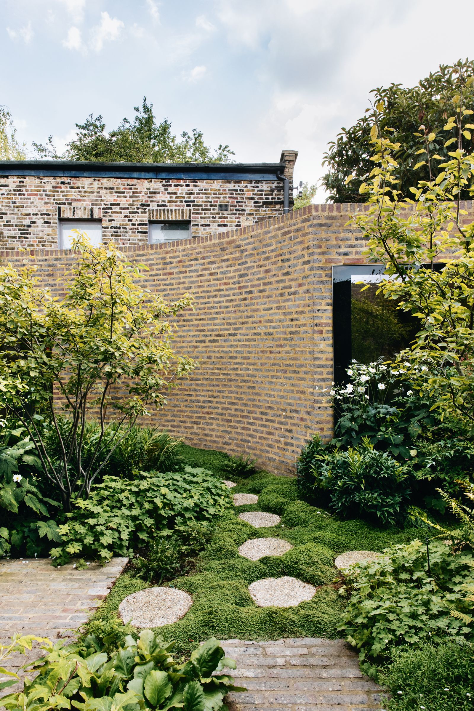 The three multistem Amelanchier lamarkii form an elegant grove with an airy canopy below which a richly textured...