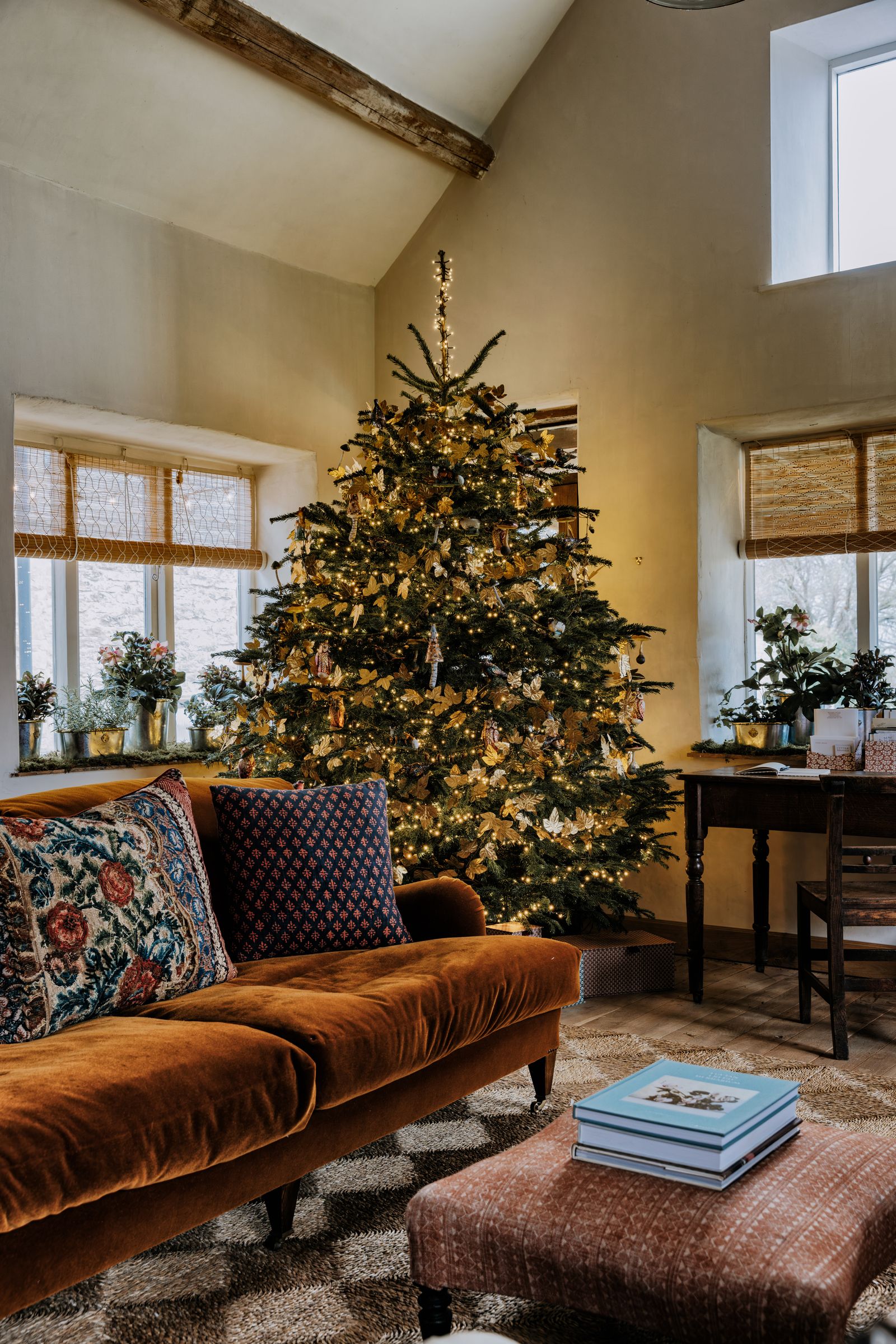 Which types of Christmas trees should you choose Make sure you consider your space carefully as Amanda Brooks did when...