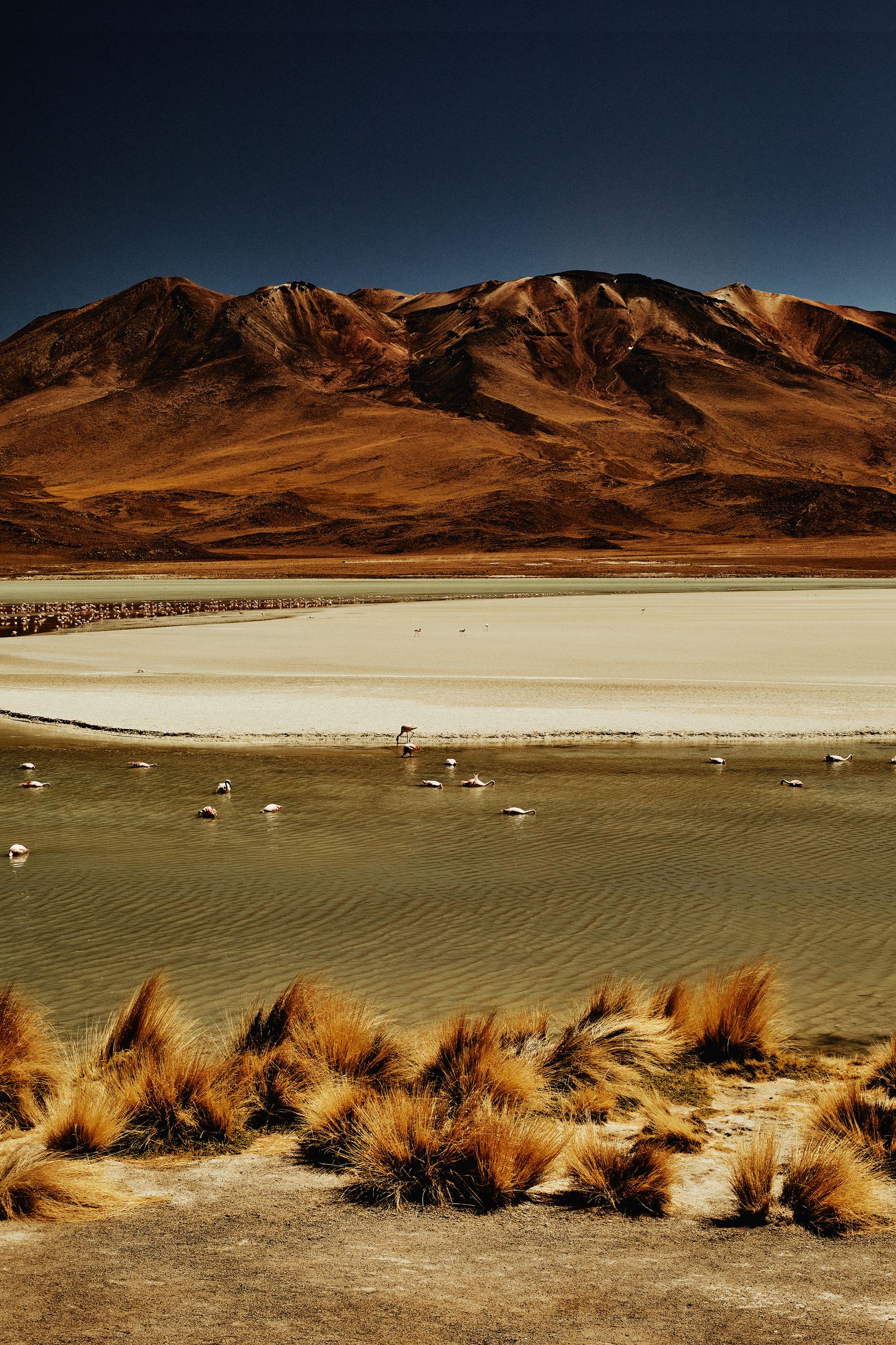Laguna Hedionda in Bolivia is one of nine small saline lakes in the Andean Altiplano and covers an area of 3km square....
