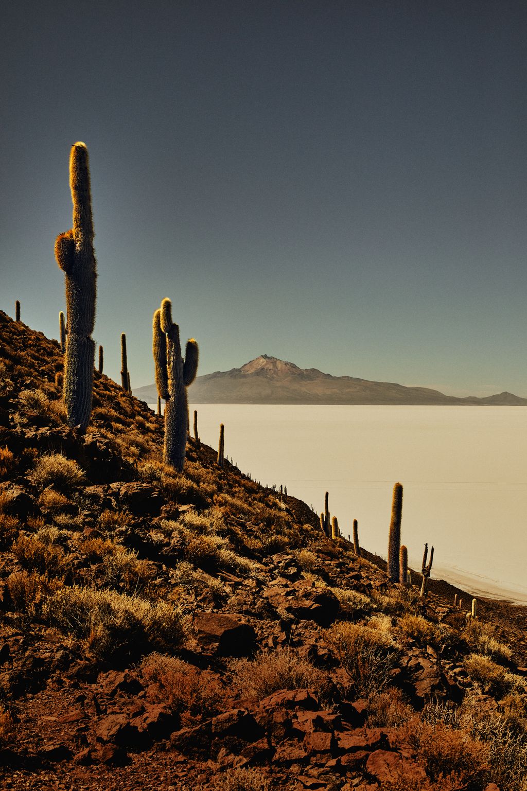 A view of the dormant Tunupa volcano from the Isla del Pescado a rocky outcrop dotted with giant cacti in the middle of...