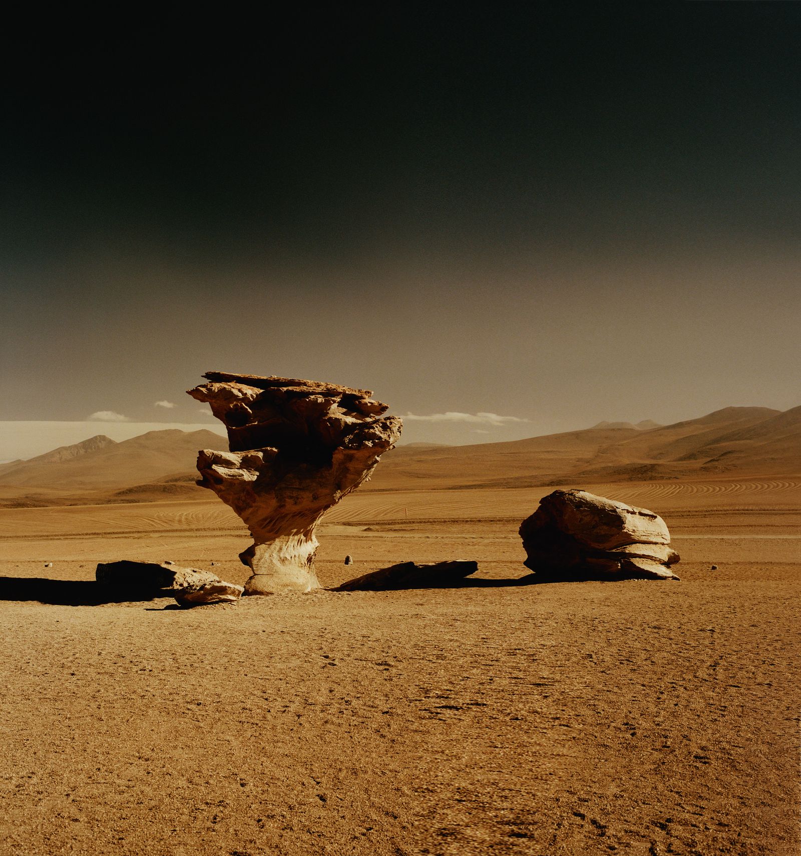 Resembling a petrified tree and created by wind erosion the distinctive Árbol de Piedra rock formation stands around...