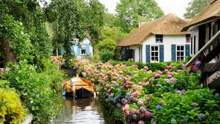 thatched roof