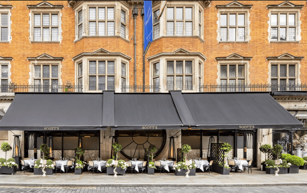 Image may contain City Urban Canopy Awning Plant and Indoors